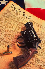 Gun_Constitution